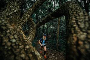 BIB: 
                            <button type="button" onclick="openModal(25672566)" class="btn btn-primary btn-sm float-right btn-popup" data-toggle="modal" data-target=".modal-high-quality">
                        <i class="fas fa-shopping-cart"></i> Add to Cart
                    </button>
                                            <button type="button" onclick="isThisMe(25672566, true)" class="btn btn-success btn-sm float-right btn-popup btn-isme hidden" data-toggle="tooltip" data-placement="bottom" title="นี่คือรูปของคุณใช่ไหม คลิกที่นี่เพื่อเอาเข้าอัลบั้ม">
                        <i class="fas fa-plus"></i> Add to album
                    </button>
                    <button type="button" onclick="isThisMe(25672566, false)" class="btn btn-warning btn-sm float-right btn-popup btn-isnotme hidden">
                        <i class="fas fa-ban"></i> Remove from album
                    </button>